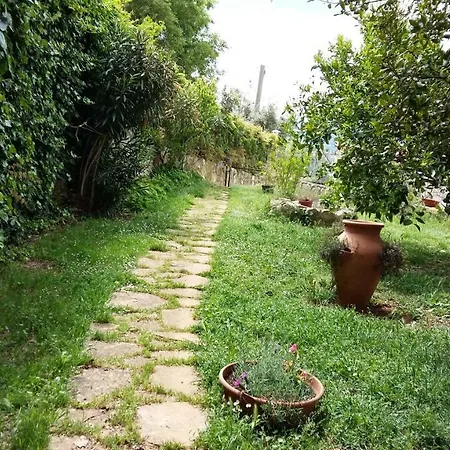 La Vecchia Scuola Couette-café Sonnino